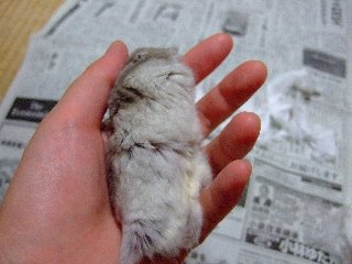 '07 blog用 0224.jpg