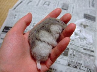 '07 blog用 0225.jpg