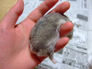 '07 blog用 0226.jpg