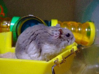 '07 blog用 0227.jpg