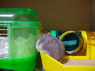 '07 blog用 0229.jpg