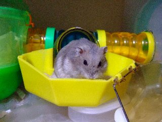 '07 blog用 0230.jpg