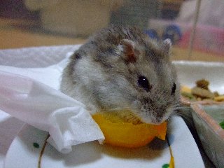 '07 blog用 0233.jpg