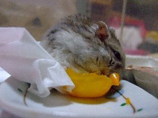 '07 blog用 0234.jpg