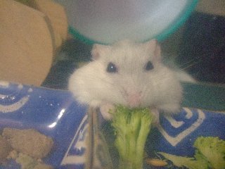 '07 blog用 0235.jpg