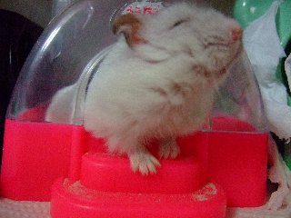 '07 blog用 0239.jpg