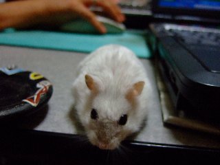 '07 blog用 0242.jpg