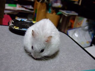 '07 blog用 0247.jpg
