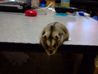 '07 blog用 0250.jpg