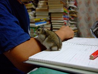 '07 blog用 0251.jpg