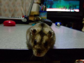'07 blog用 0252.jpg