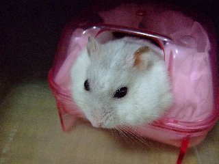 '07 blog用 0255.jpg