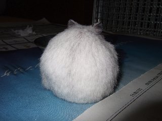 '07 blog用 0257.jpg