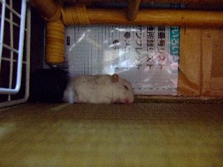 '07 blog用 0283.jpg