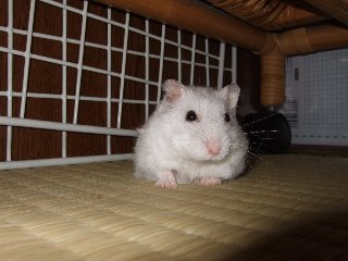 '07 blog用 0288.jpg