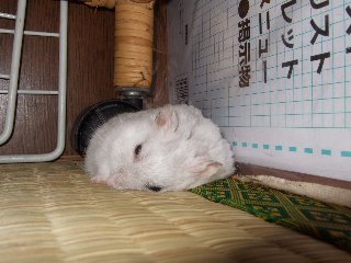 '07 blog用 0291.jpg
