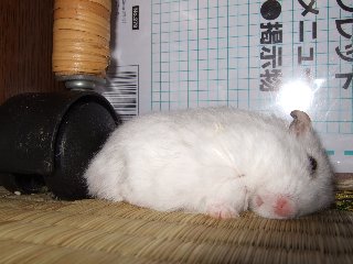 '07 blog用 0292.jpg