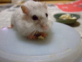 '07 blog用 0294.jpg