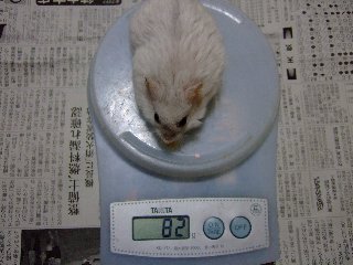 '07 blog用 0295.jpg