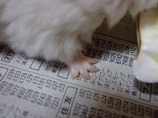 '07 blog用 0298.jpg