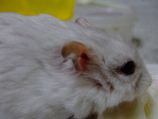 '07 blog用 0301.jpg