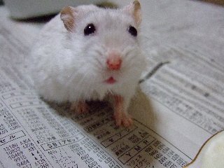 '07 blog用 0303.jpg