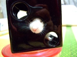 '07 blog用 0304.jpg