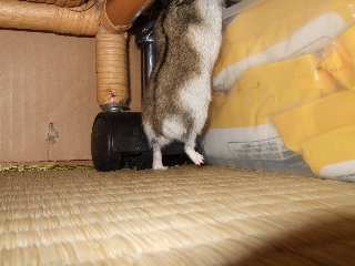 '07 blog用 0307.jpg