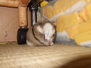 '07 blog用 0308.jpg