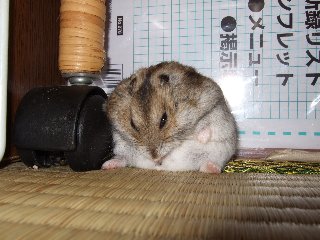 '07 blog用 0311.jpg