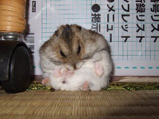 '07 blog用 0317.jpg