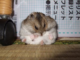 '07 blog用 0318.jpg
