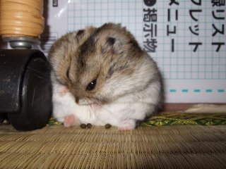 '07 blog用 0319.jpg
