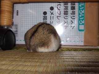 '07 blog用 0320.jpg