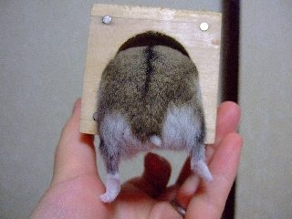 '07 blog用 0331.jpg
