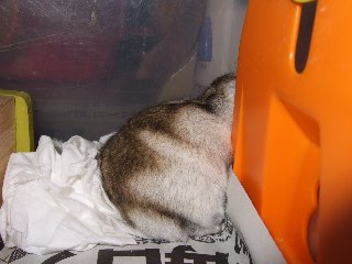 '07 blog用 0334.jpg