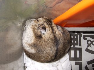 '07 blog用 0338.jpg