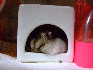'07 blog用 0339.jpg