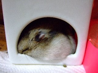 '07 blog用 0340.jpg