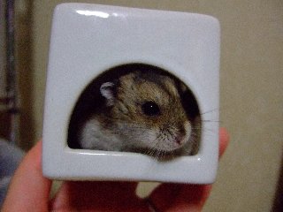'07 blog用 0341.jpg