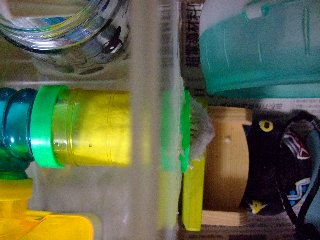 '07 blog用 0344.jpg