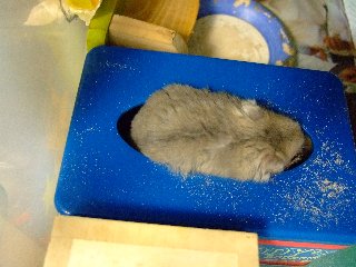 '07 blog用 0351.jpg