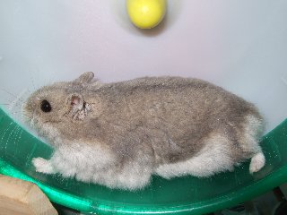'07 blog用 0352.jpg