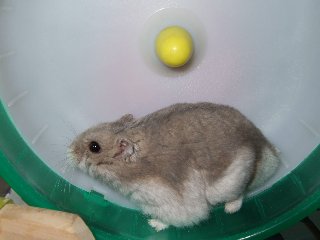 '07 blog用 0353.jpg
