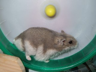 '07 blog用 0355.jpg