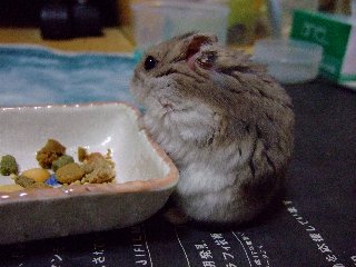 '07 blog用 0356.jpg