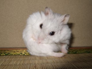 '07 blog用 0358.jpg