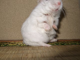 '07 blog用 0359.jpg