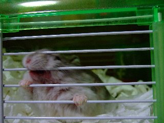 '07 blog用 0361.jpg