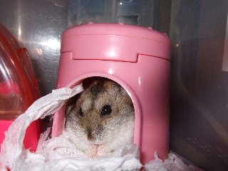 '07 blog用 0363.jpg